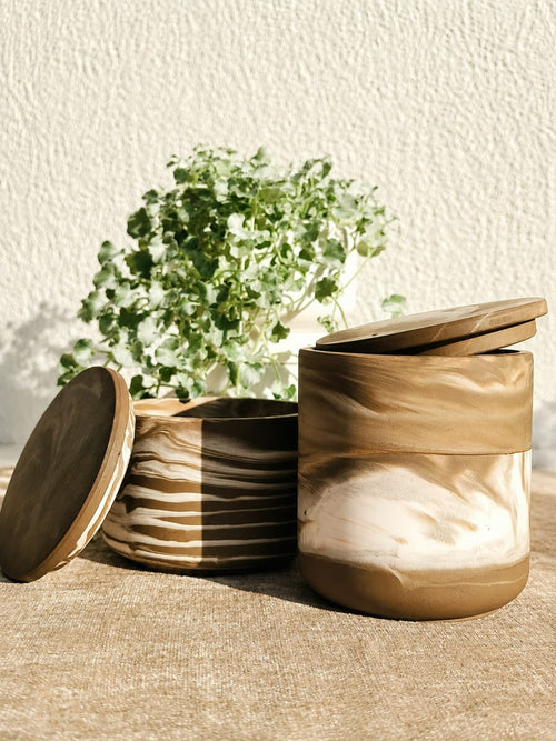 Coconut